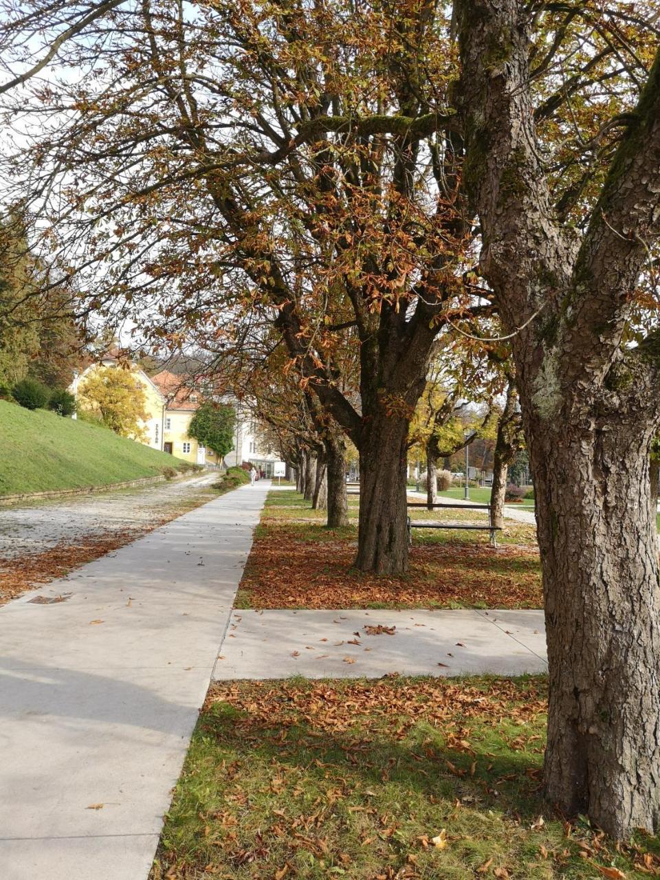 Apartments Soelek - Vila Golf Rogaška Slatina Esterno foto